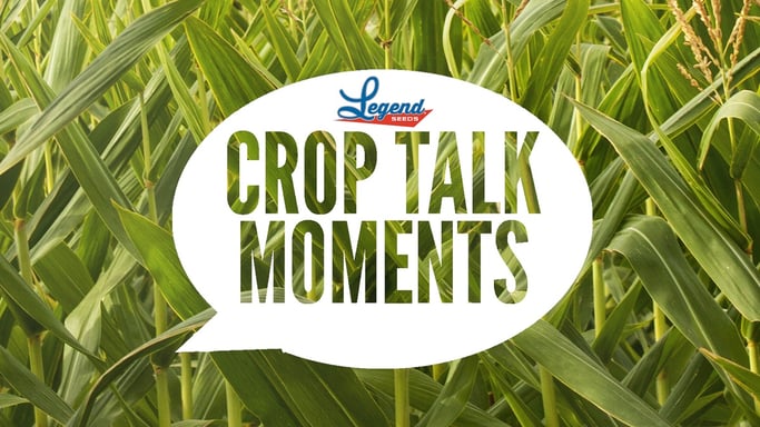 Crop Talk Moments-1
